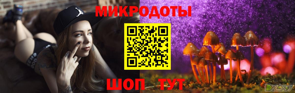 Кулебаки  Галлюциногенные грибы GOLDEN TEACHER  наркотики  Вход с VPN 