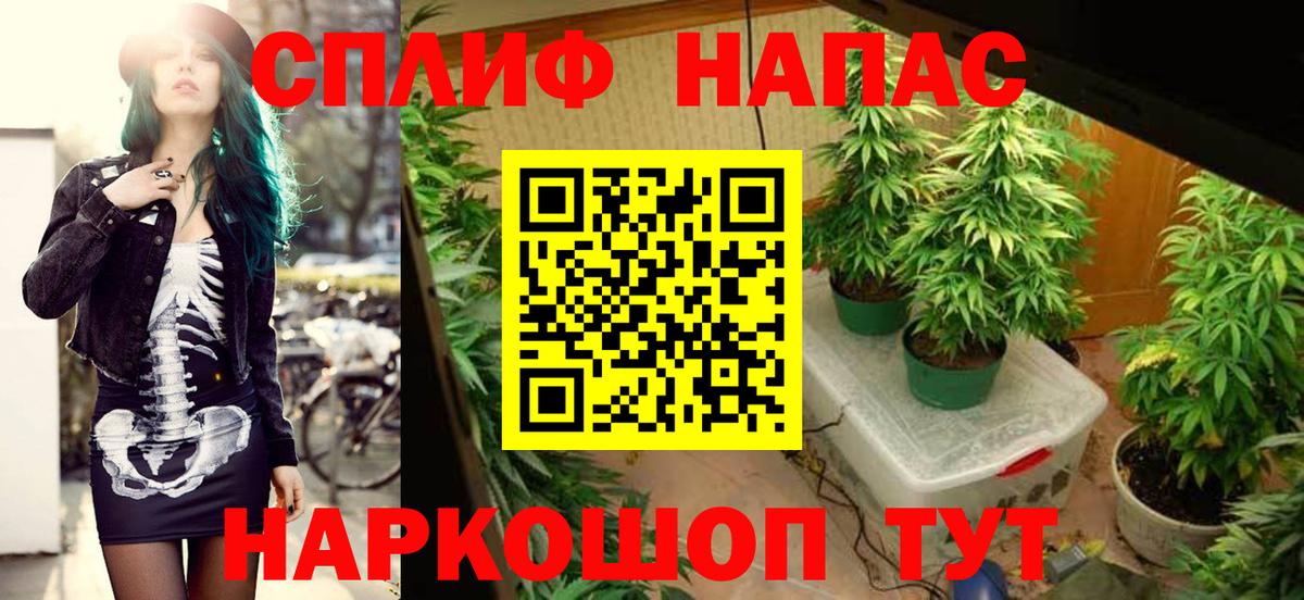 Марихуана план  Шишки марихуана семена  МАРИХУАНА White Widow  Кулебаки  Вход с VPN 